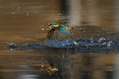 DSC_6983zz