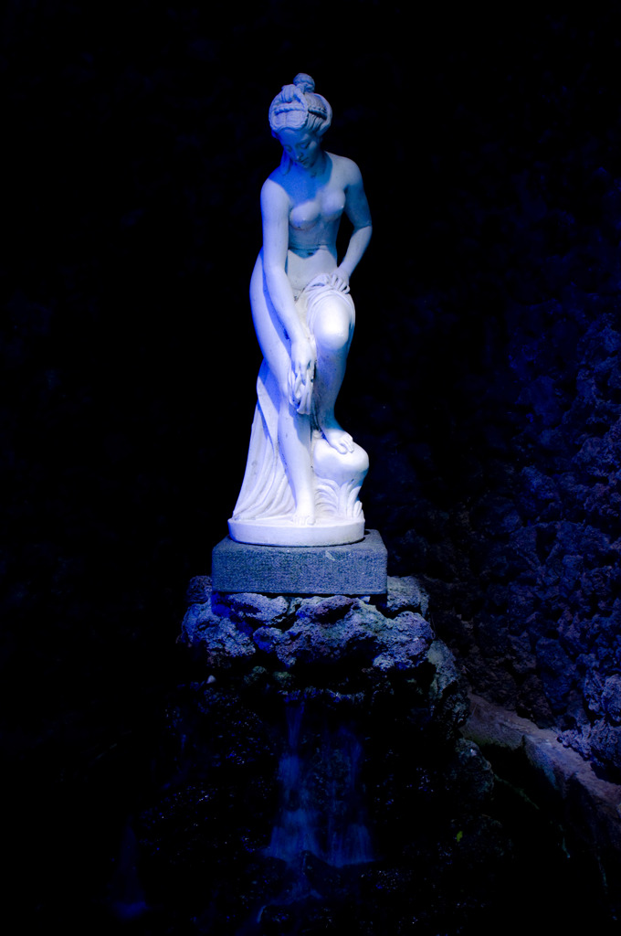 LIKE VENUS