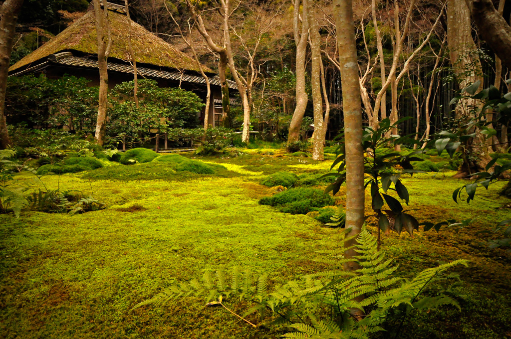 尼寺