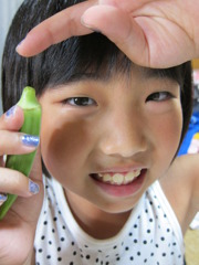 オクラ　とれたよ!!