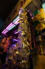 金魚ストリート No.1