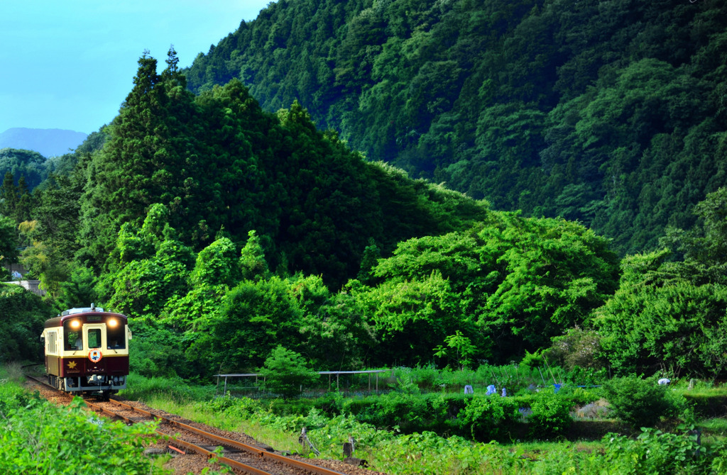 山郷を縫う