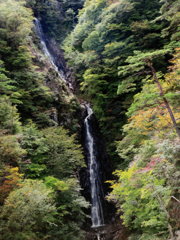 始まる紅葉