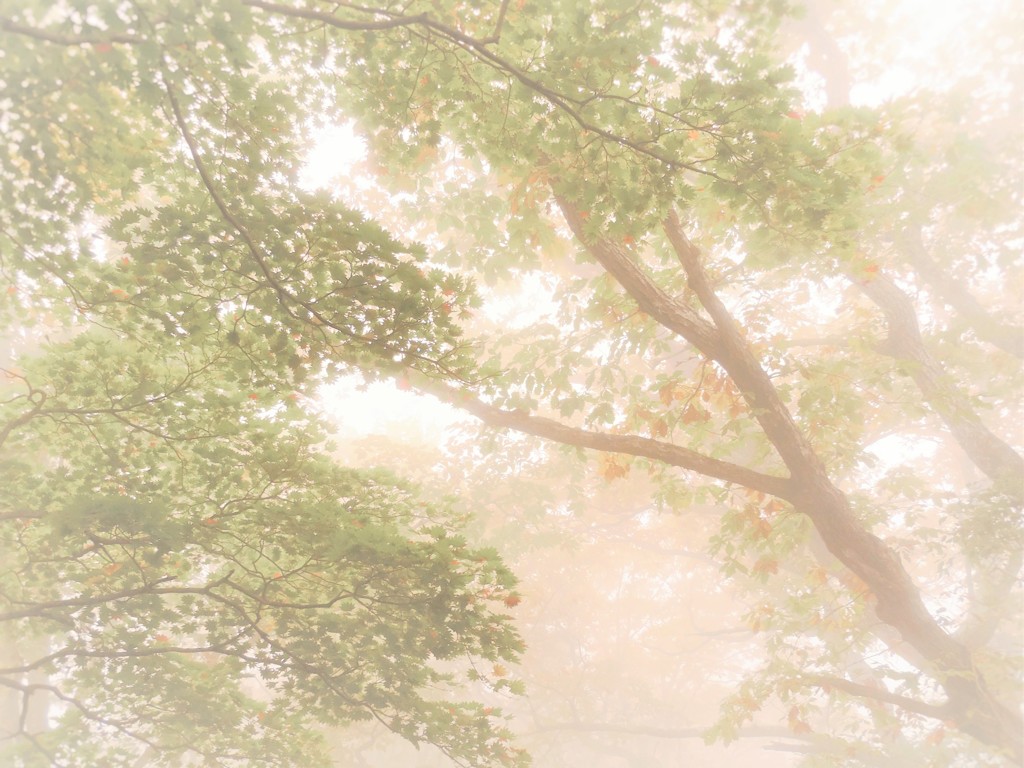 良いお年をお迎えください。