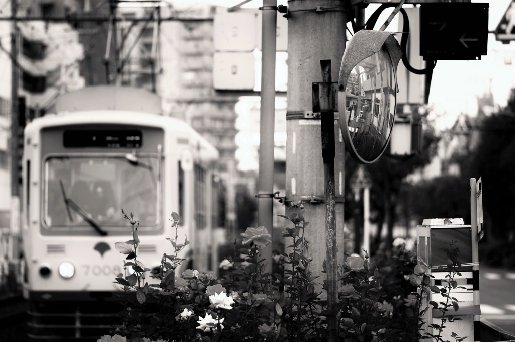 親子電車