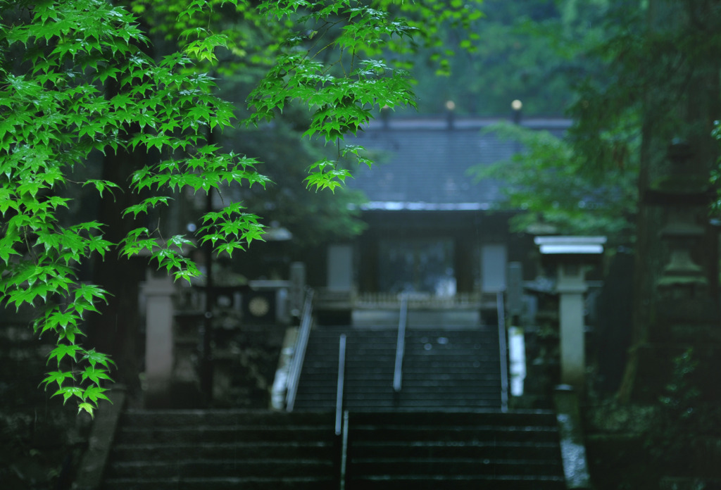 雨に霞む