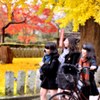 歩こう♪歩こう♪私は元気～♪