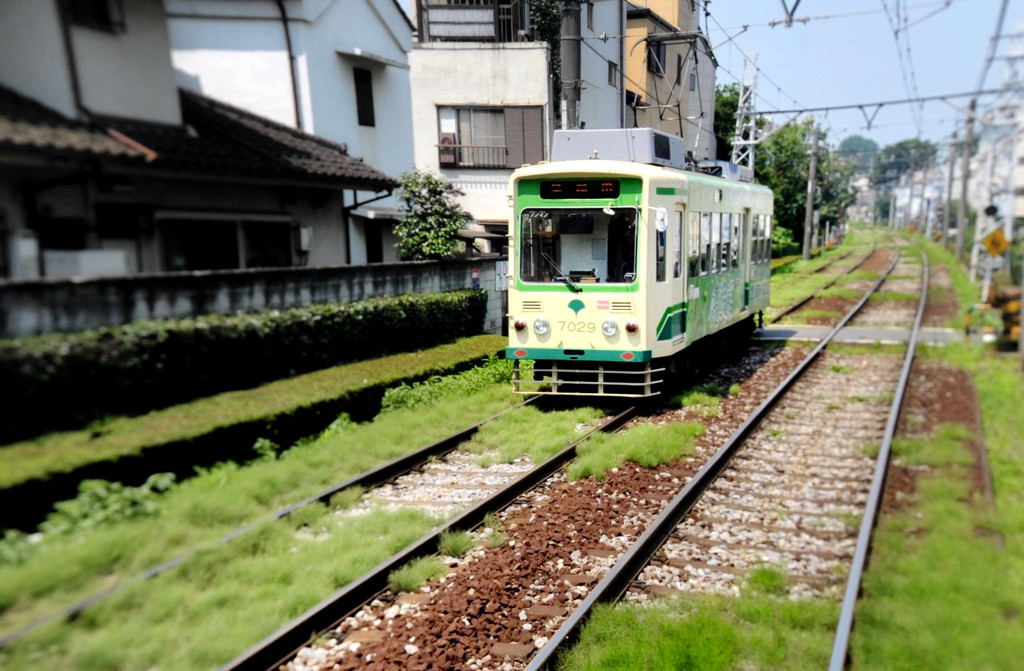 芝生のジオラマ