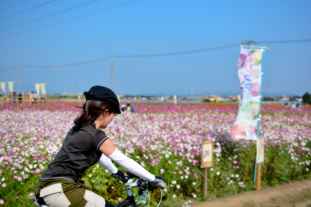駆け抜ける風
