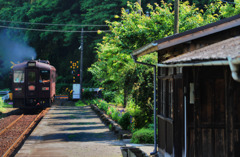 初夏の日差し