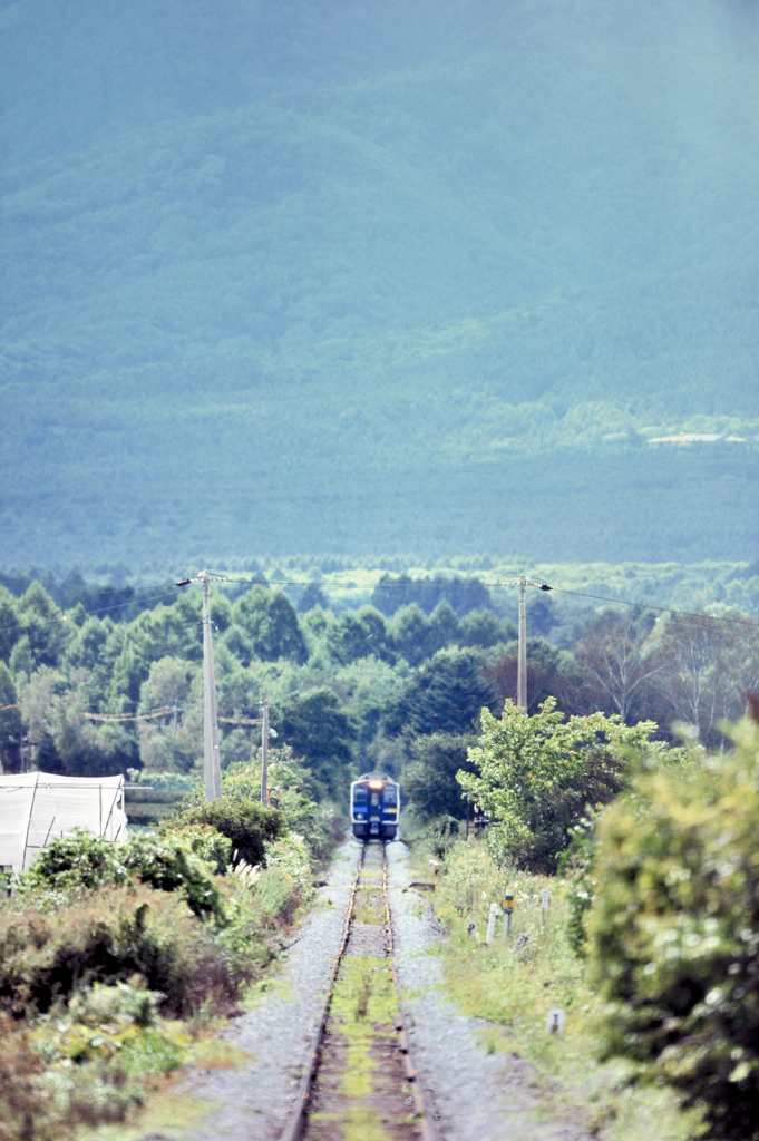 高原の鉄路