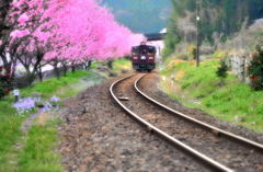 花桃咲く頃