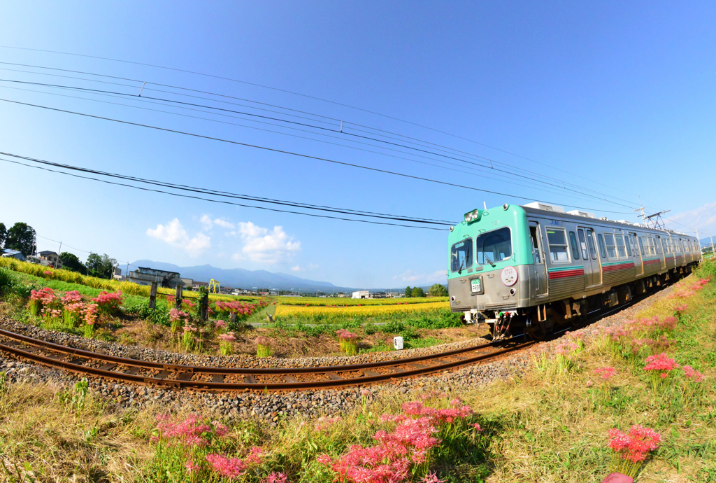 のどかな秋の車窓