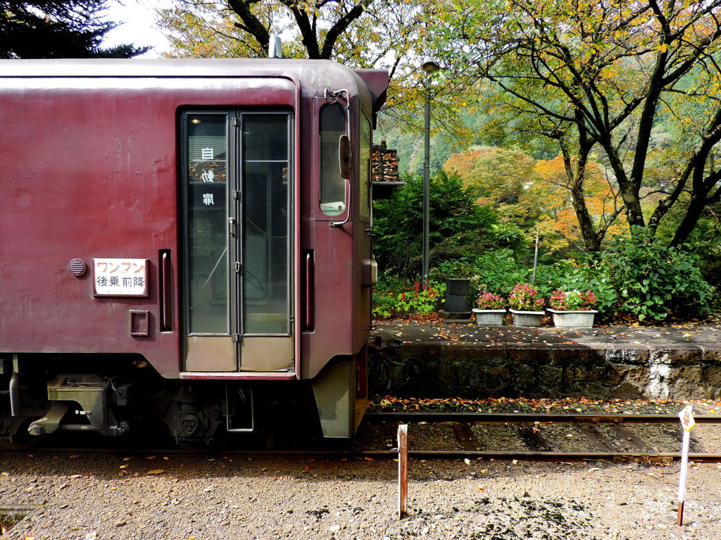 色付く駅