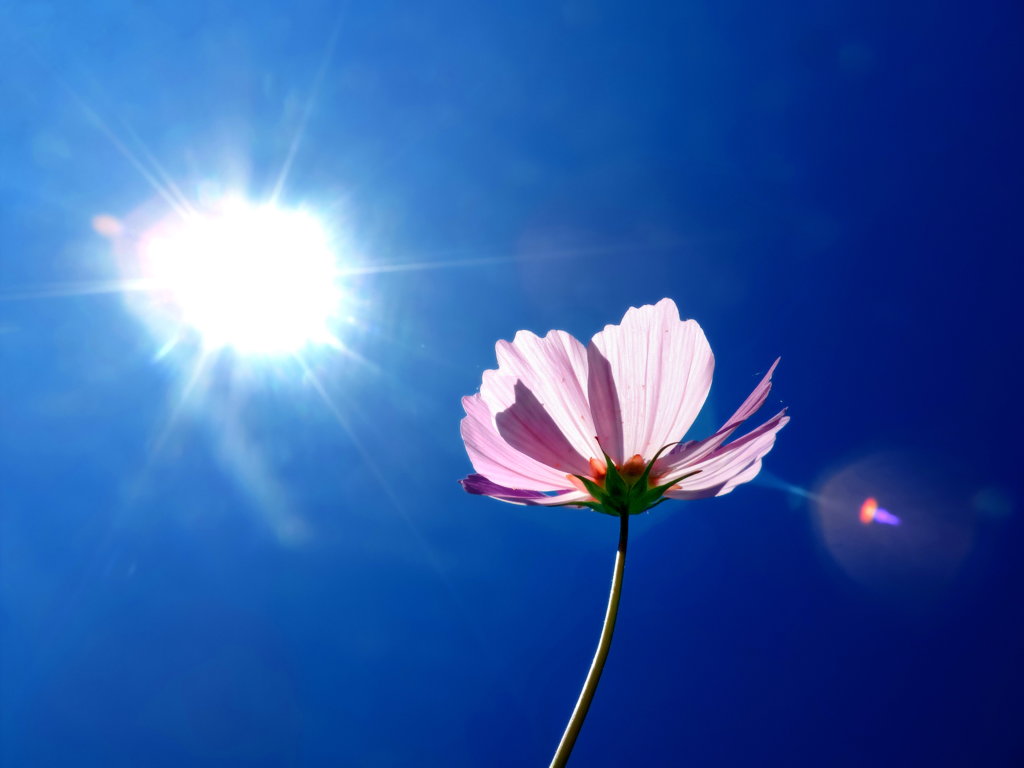 a light beam of sun
