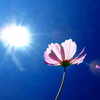 a light beam of sun