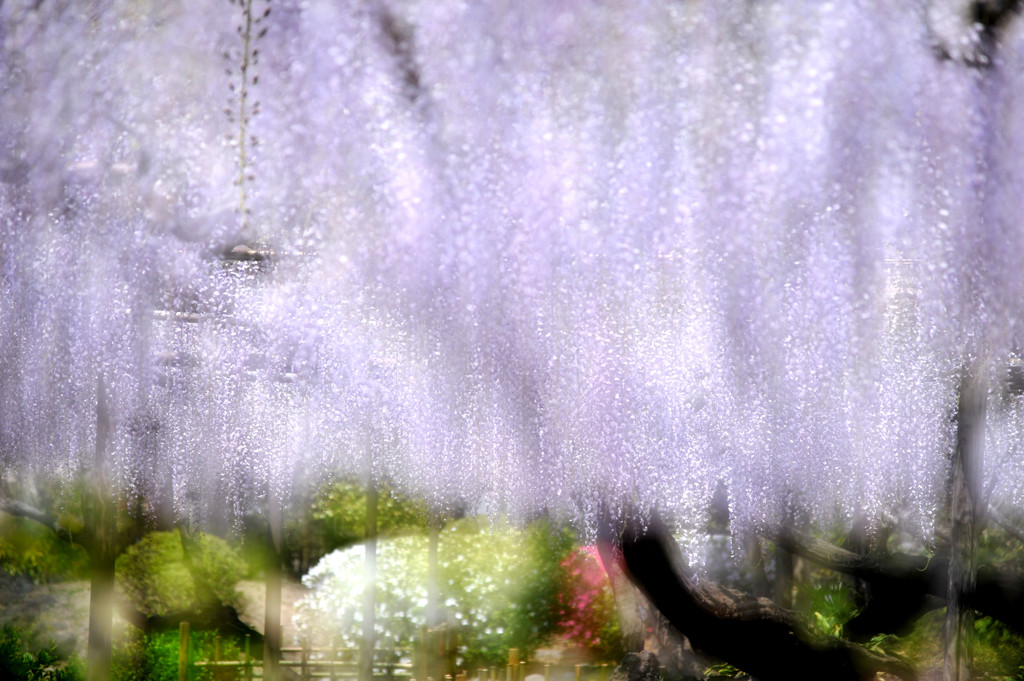 Purple Rain