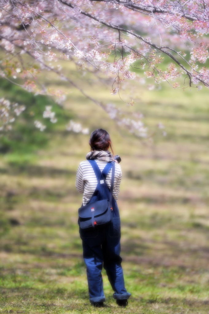 春は爽快
