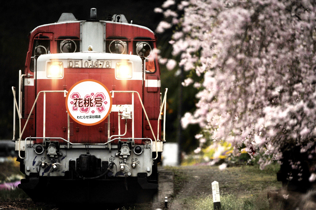 花桃号