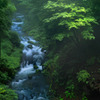 森を潤す水音