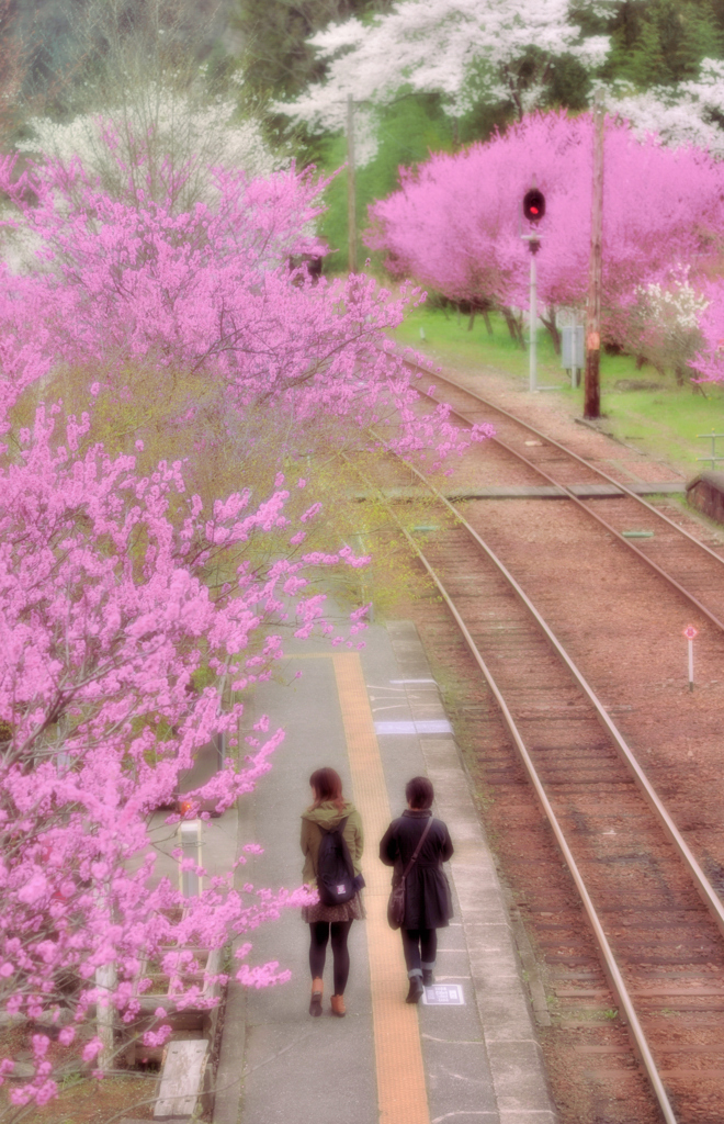 花の駅「ごうど」