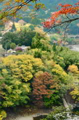 秋の里山