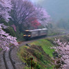 雨の渡良瀬路