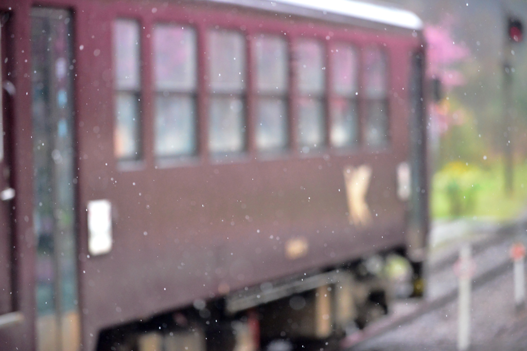雨
