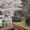観桜の駅