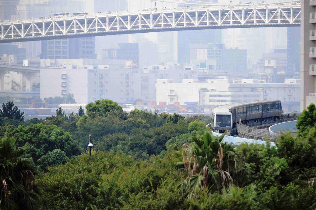 亜熱帯都市