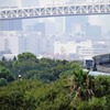 亜熱帯都市