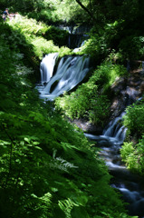 涼しい風景