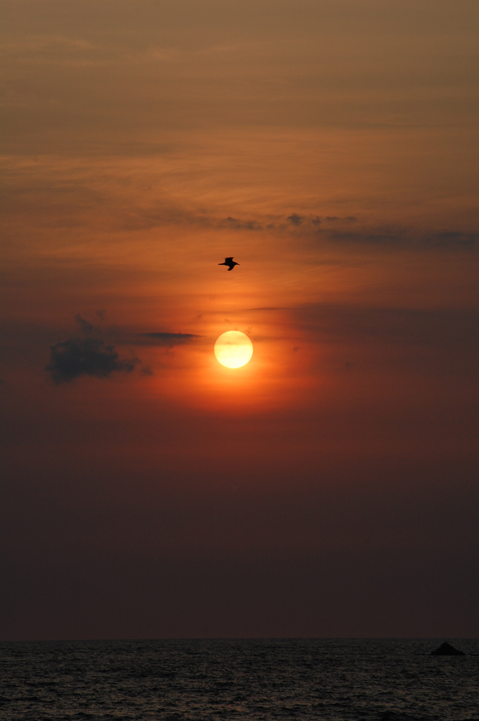 夕陽