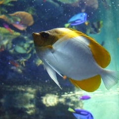 水族館