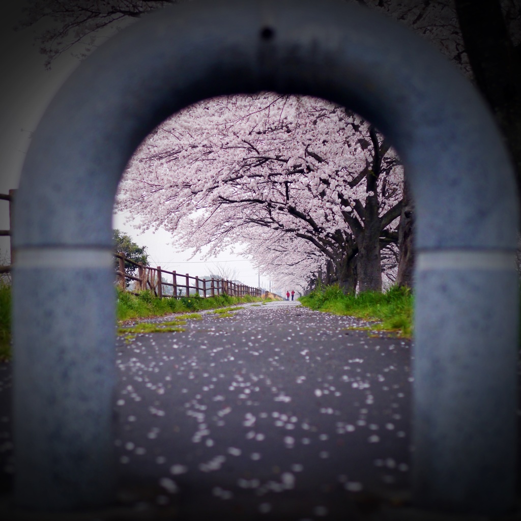 のぞいてみたら