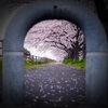 のぞいてみたら