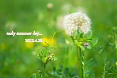 early summer day