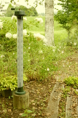 IMGP5036