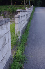 IMGP5053