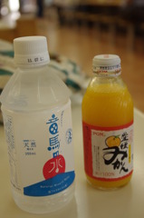 IMGP3953