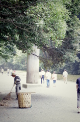 IMGP3770