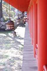 親子