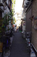 IMGP3802