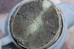 IMGP3780