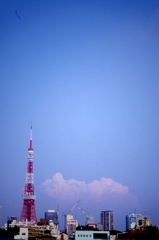 IMGP3766