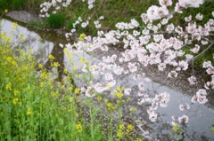 やっと、届いたね