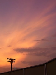 一瞬の出会い