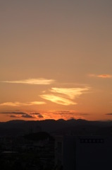 夜が始まるよ