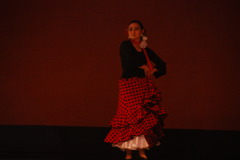 0822板橋区立文化会館014