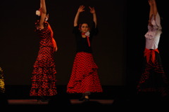 0822板橋区立文化会館153